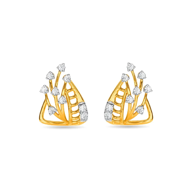 personalized earrings for women-Maham  Earring